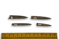 F 04351
<br/>
<br/>
<em></em>